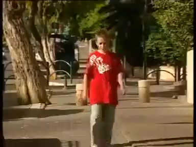 רועי פלס ז